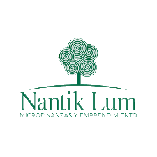 Nantick Lum Logo Cropped